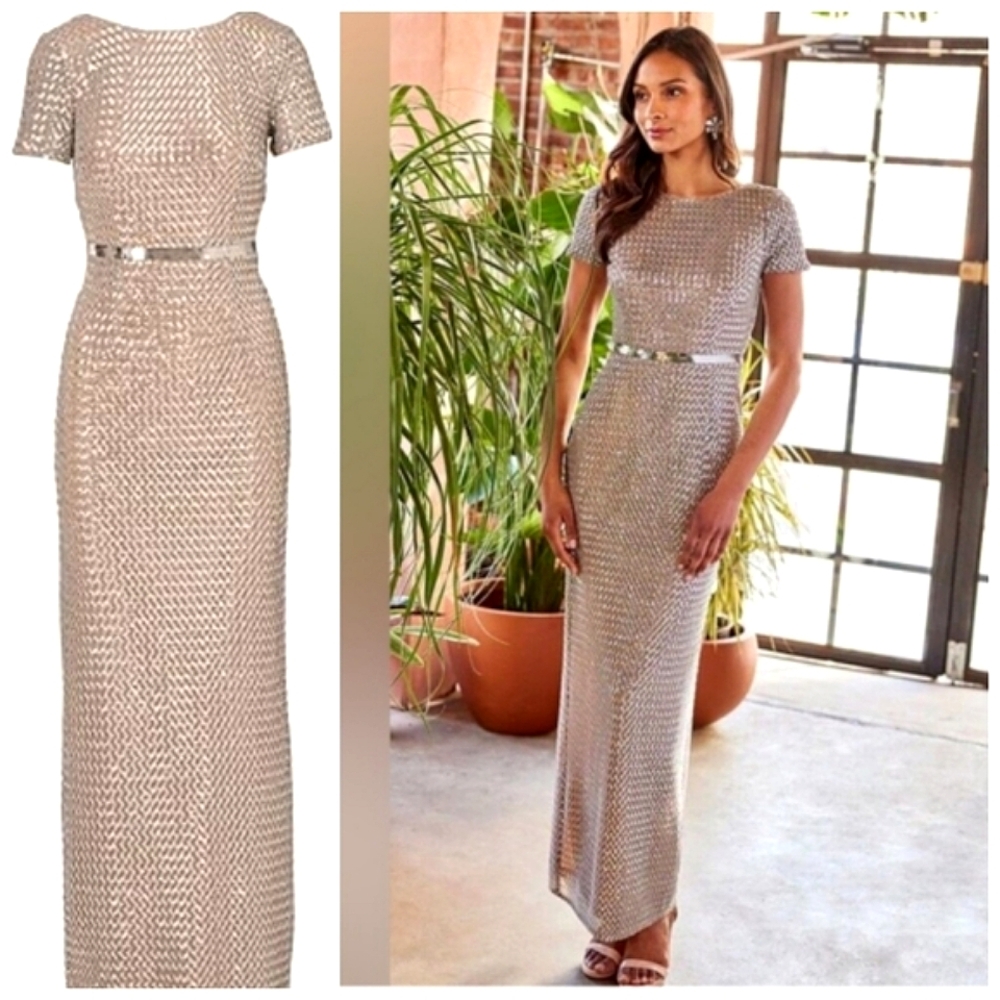 Adrianna Pappel Nwot Shortsleeve Silver Sequin Luxe Mesh/Tan Column Evening Drs